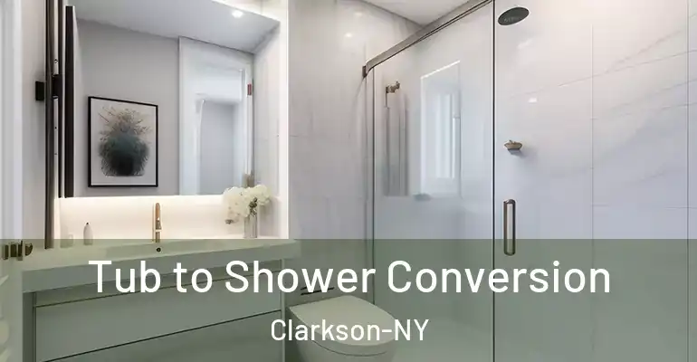 inner Bathroom imggen Tub to Shower Conversion Clarkson-NY