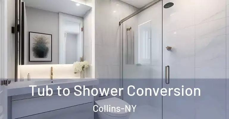 inner Bathroom imggen Tub to Shower Conversion Collins-NY