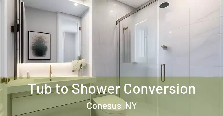 inner Bathroom imggen Tub to Shower Conversion Conesus-NY