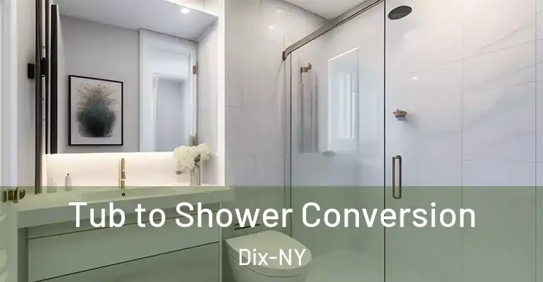 inner Bathroom imggen Tub to Shower Conversion Dix-NY