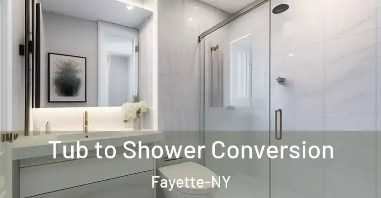 inner Bathroom imggen Tub to Shower Conversion Fayette-NY
