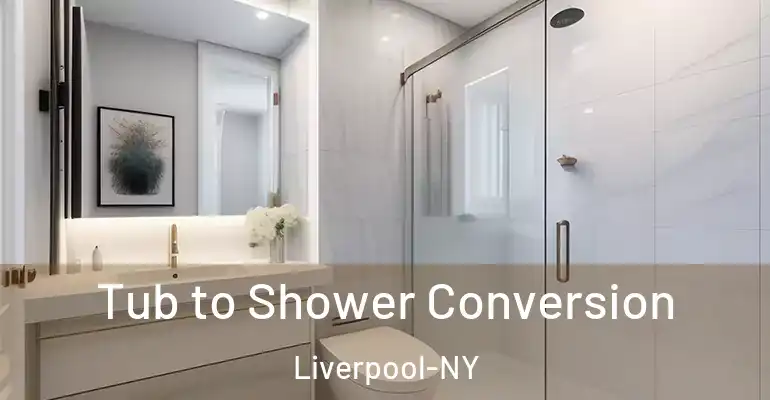 inner Bathroom imggen Tub to Shower Conversion Liverpool-NY