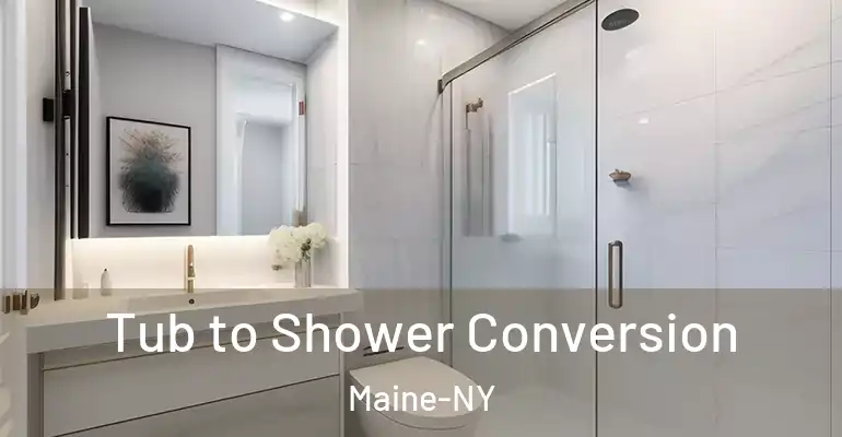 inner Bathroom imggen Tub to Shower Conversion Maine-NY
