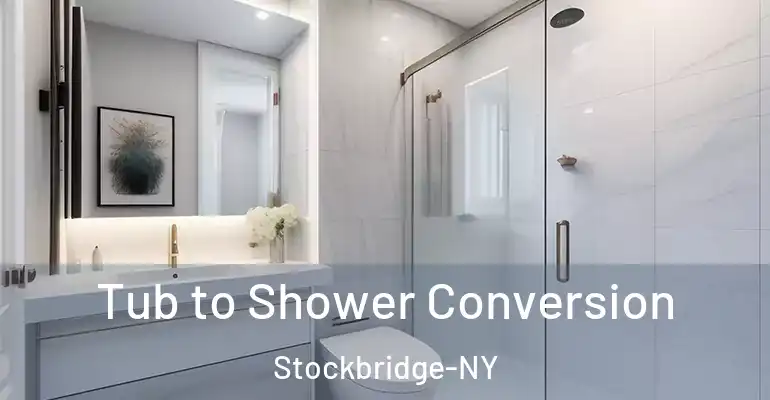 inner Bathroom imggen Tub to Shower Conversion Stockbridge-NY