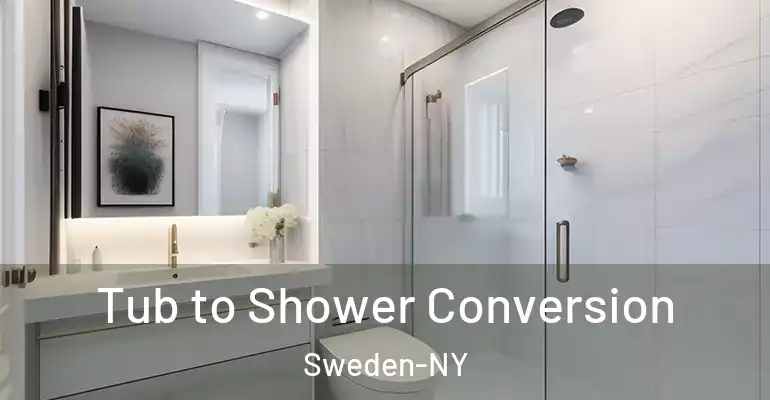 inner Bathroom imggen Tub to Shower Conversion Sweden-NY