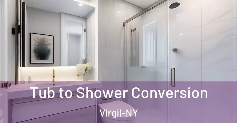 inner Bathroom imggen Tub to Shower Conversion Virgil-NY