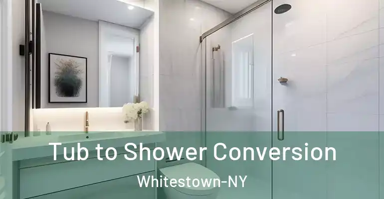 inner Bathroom imggen Tub to Shower Conversion Whitestown-NY