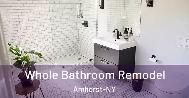 inner Bathroom imggen Whole Bathroom Remodel Amherst-NY