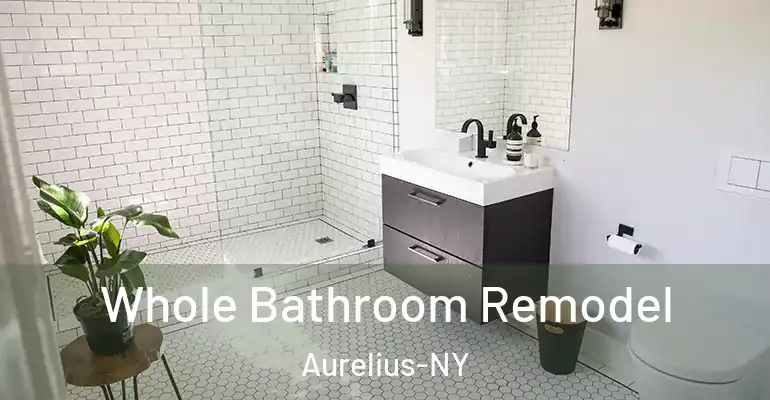 inner Bathroom imggen Whole Bathroom Remodel Aurelius-NY