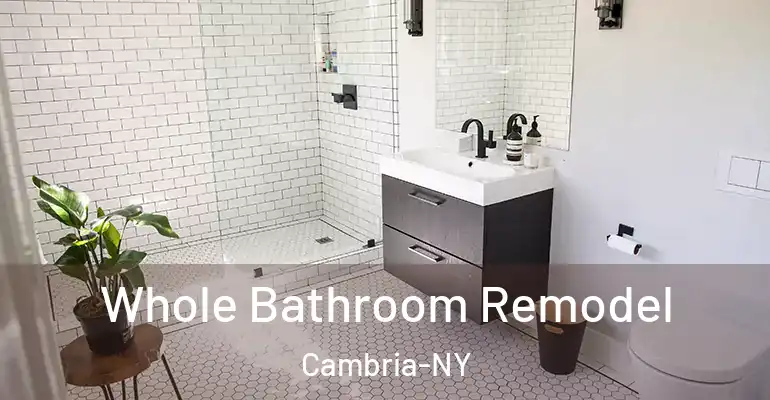 inner Bathroom imggen Whole Bathroom Remodel Cambria-NY