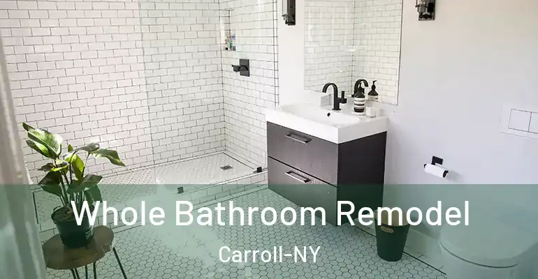 inner Bathroom imggen Whole Bathroom Remodel Carroll-NY