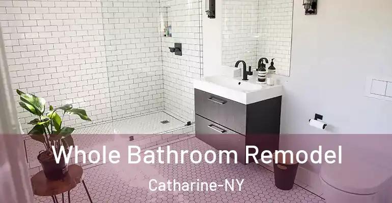 inner Bathroom imggen Whole Bathroom Remodel Catharine-NY