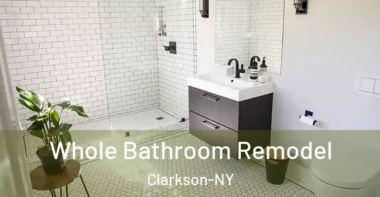 inner Bathroom imggen Whole Bathroom Remodel Clarkson-NY