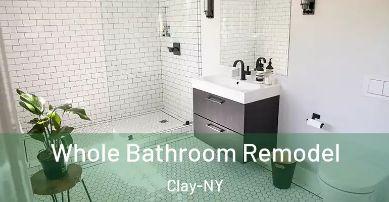 inner Bathroom imggen Whole Bathroom Remodel Clay-NY