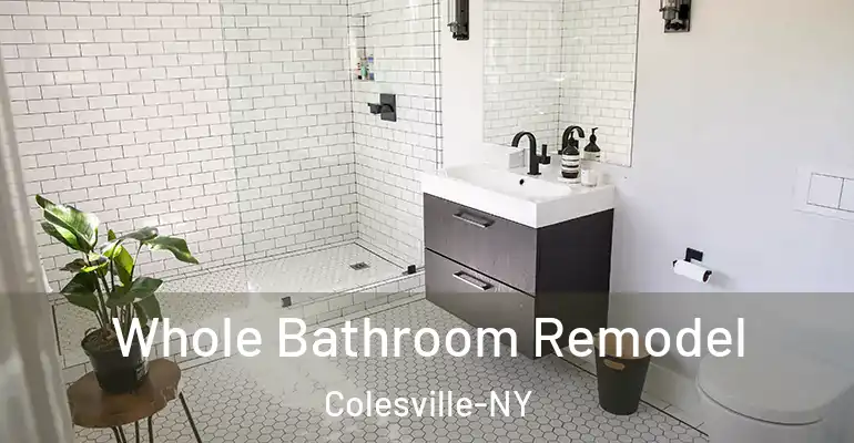 inner Bathroom imggen Whole Bathroom Remodel Colesville-NY