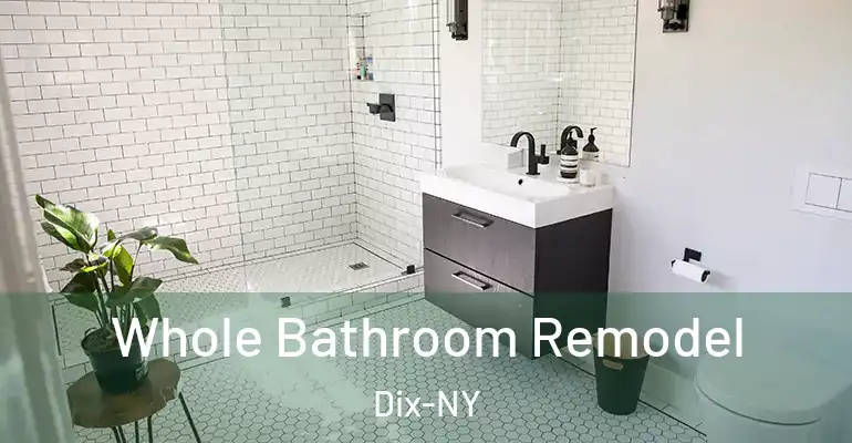 inner Bathroom imggen Whole Bathroom Remodel Dix-NY