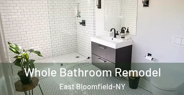 inner Bathroom imggen Whole Bathroom Remodel East Bloomfield-NY