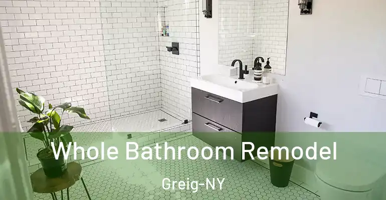 inner Bathroom imggen Whole Bathroom Remodel Greig-NY