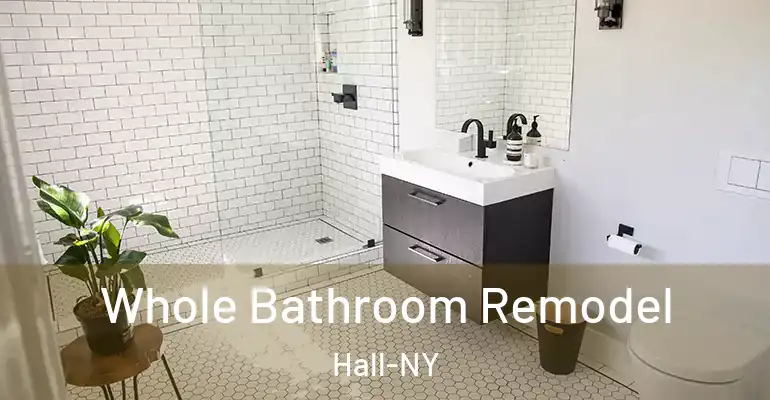 inner Bathroom imggen Whole Bathroom Remodel Hall-NY