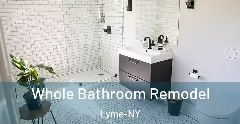 inner Bathroom imggen Whole Bathroom Remodel Lyme-NY
