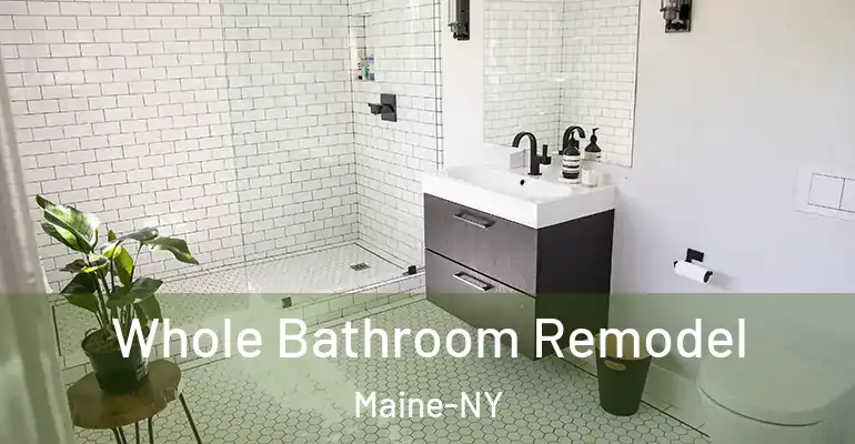 inner Bathroom imggen Whole Bathroom Remodel Maine-NY
