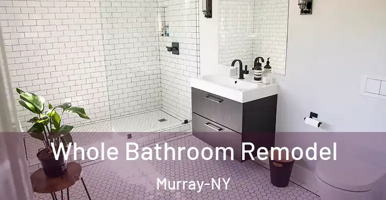 inner Bathroom imggen Whole Bathroom Remodel Murray-NY