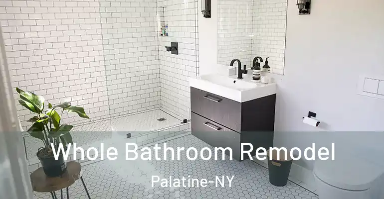 inner Bathroom imggen Whole Bathroom Remodel Palatine-NY