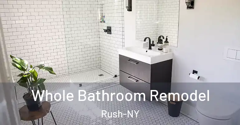 inner Bathroom imggen Whole Bathroom Remodel Rush-NY