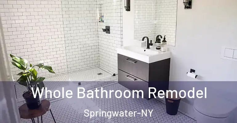 inner Bathroom imggen Whole Bathroom Remodel Springwater-NY