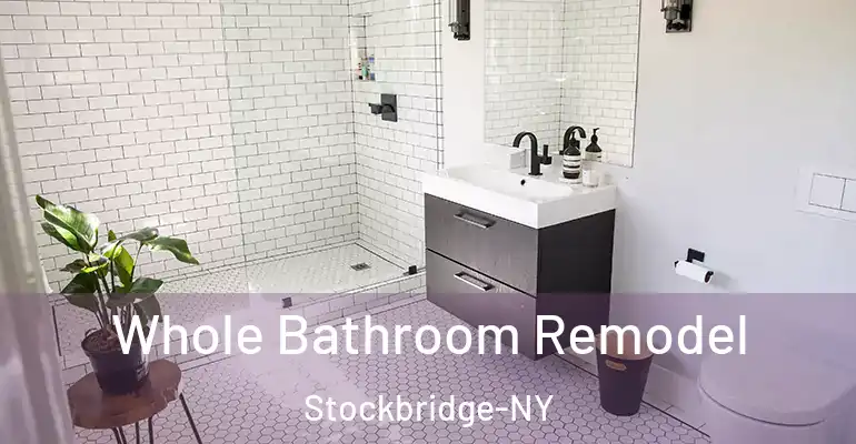 inner Bathroom imggen Whole Bathroom Remodel Stockbridge-NY