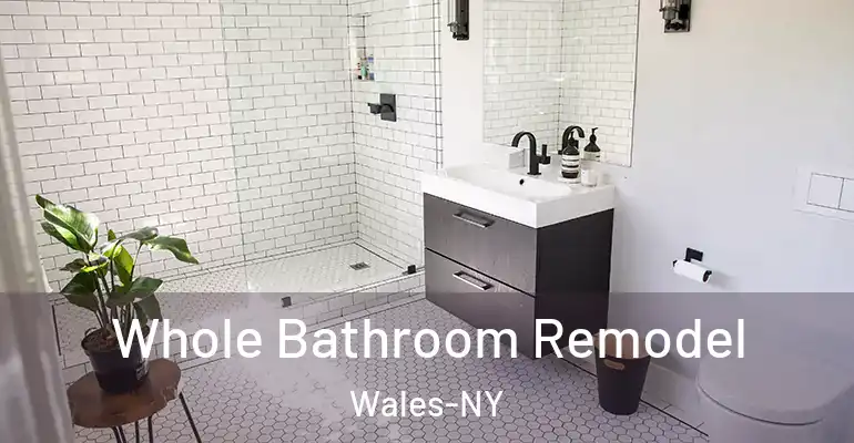 inner Bathroom imggen Whole Bathroom Remodel Wales-NY
