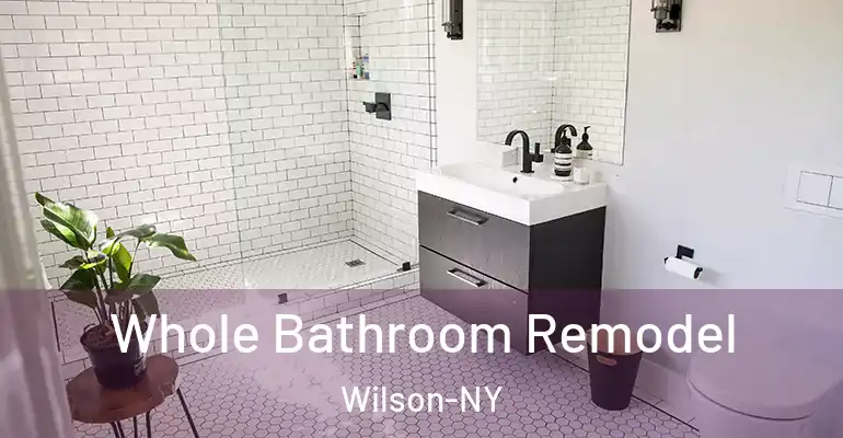 inner Bathroom imggen Whole Bathroom Remodel Wilson-NY
